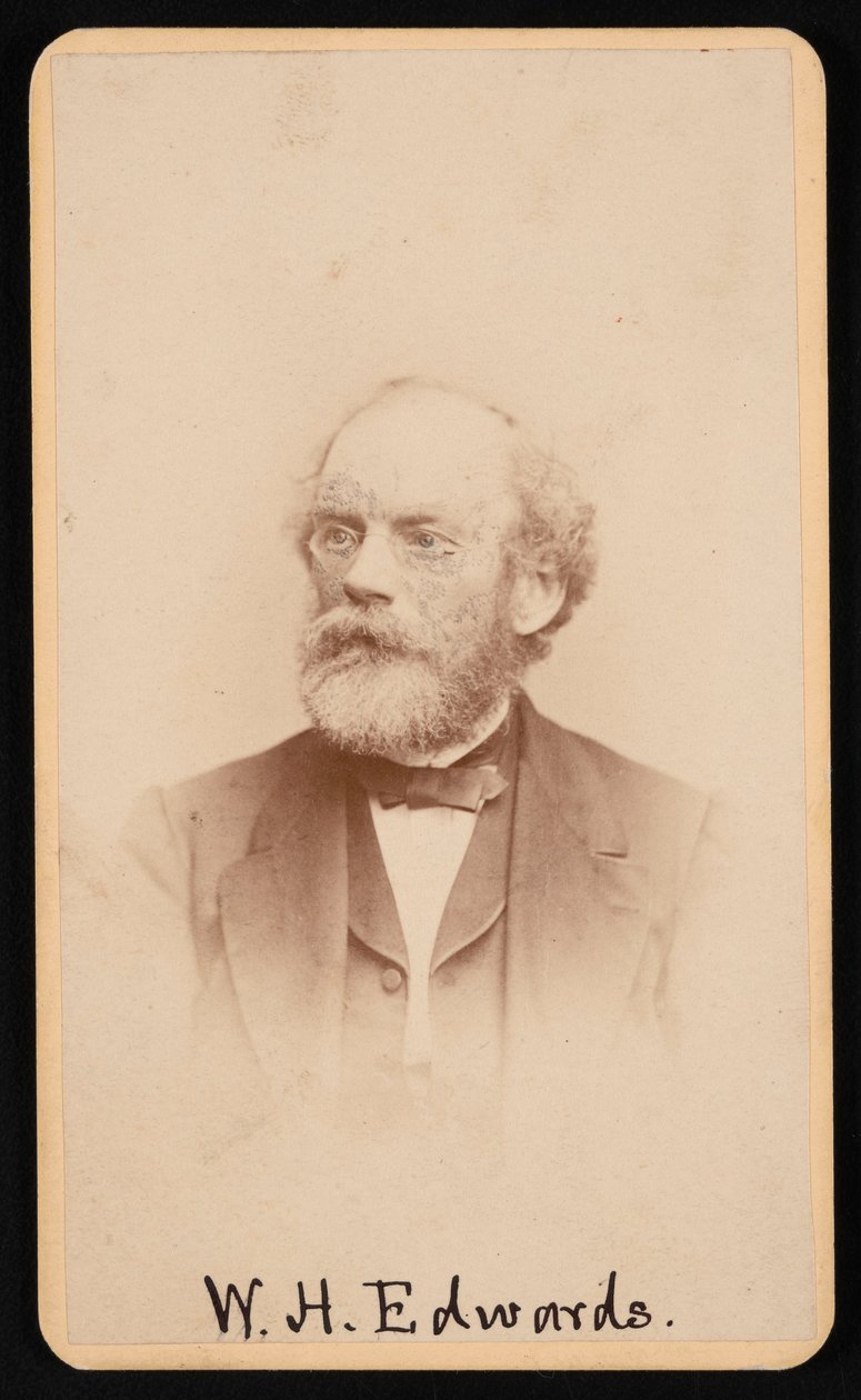 Portret Williama Henry