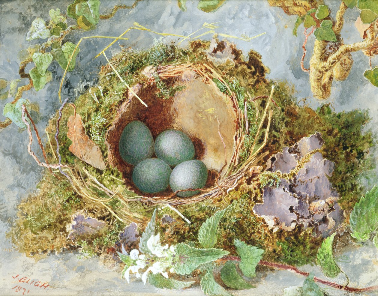 Gniazdo jaj, 1871 (patrz 215284 dla pary) autorstwa Jabez Bligh