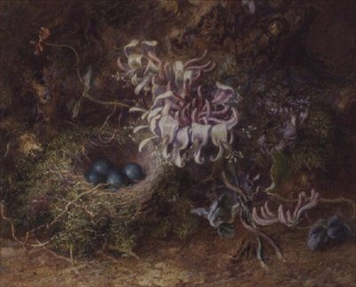 Ptasie Gniazdo i Wiciokrzew autorstwa Jabez Bligh