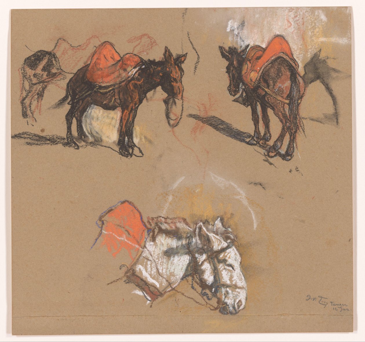 Studia osłów i muła na Grote Markt w Tangerze autorstwa Jac van Looij (signed by artist)
