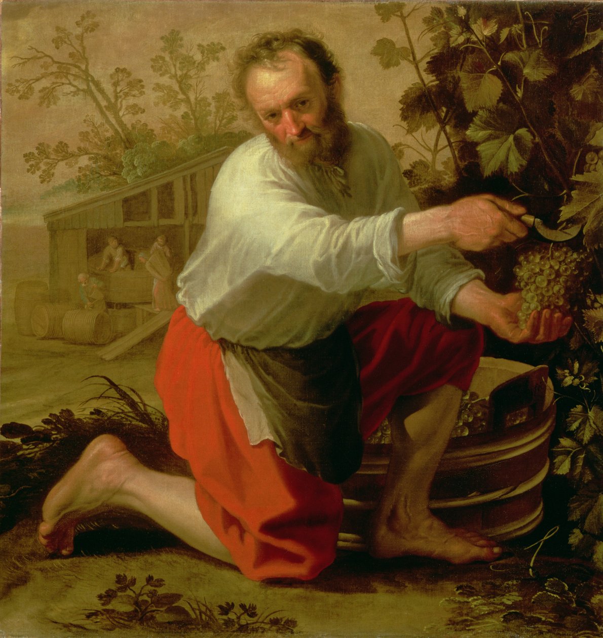 Hodowca winorośli, 1628 autorstwa Jacob Gerritsz Cuyp
