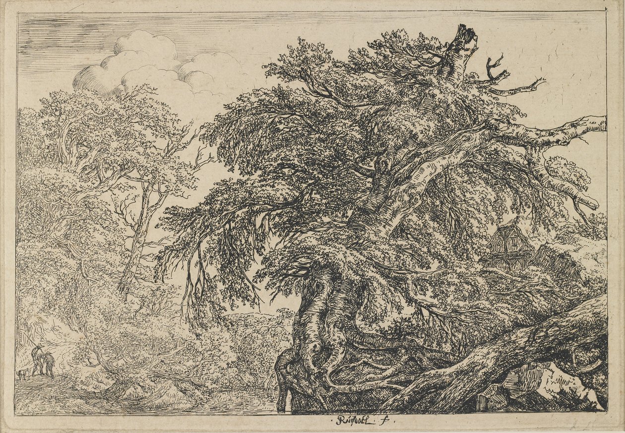 Wielki Buk z dwoma mężczyznami i psem, ok. 1650-1655 autorstwa Jacob van Ruisdael