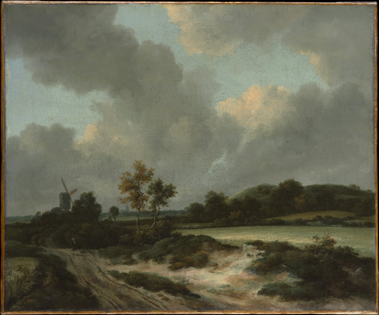 Pola zbożowe autorstwa Jacob van Ruisdael