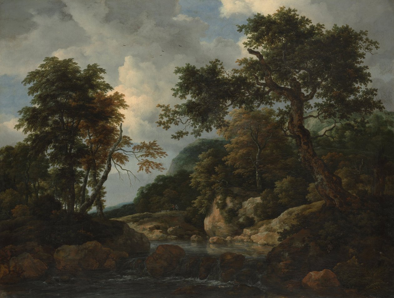Leśny Potok autorstwa Jacob van Ruisdael