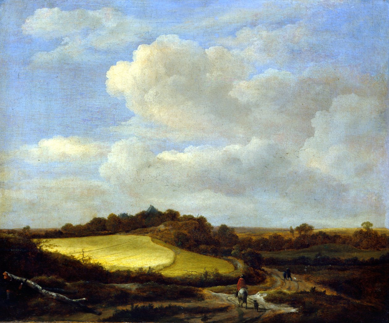 Pole pszenicy autorstwa Jacob van Ruisdael
