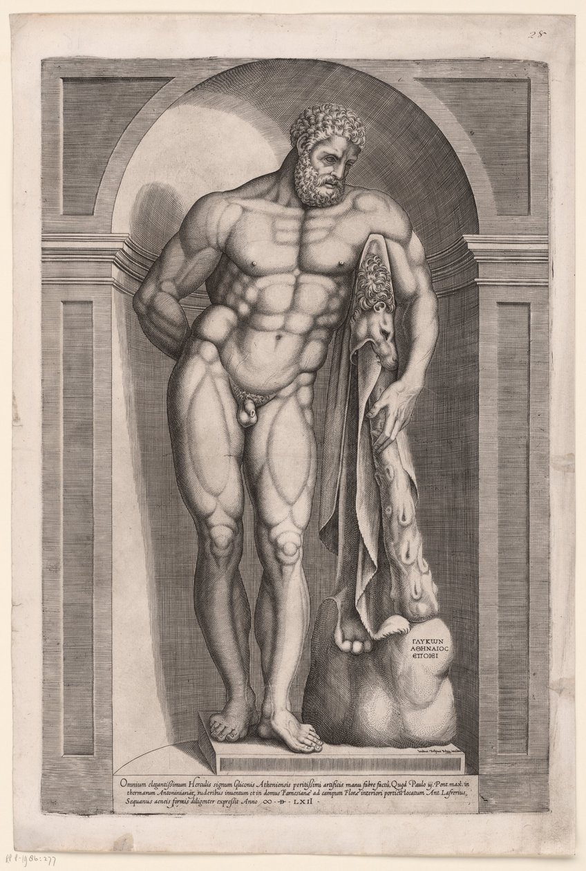Herkules Farnese autorstwa Jacob Bos