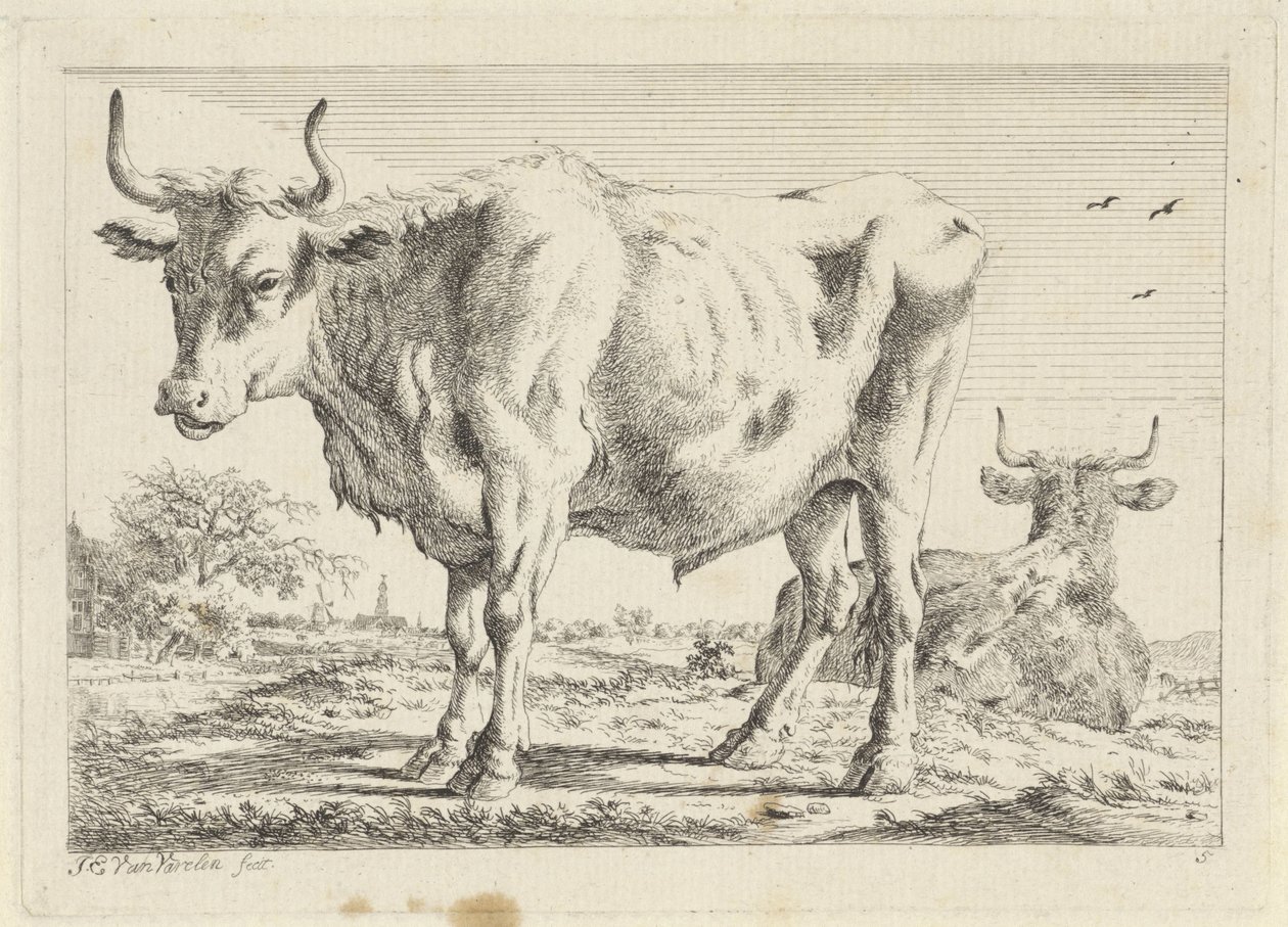 Wół stojący i leżący Sześć odbitek według rysunków różnych mistrzów (tytuł serii) autorstwa Jacob Elias van Varelen