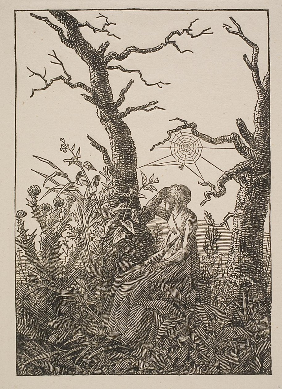 Melancholia. Kobieta z pajęczą siecią autorstwa Jacob Friedrich
