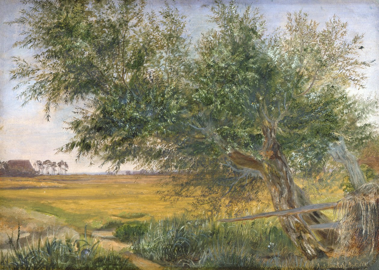 Stare Drzewo, 1842 (olej na papierze naklejony na karton) autorstwa Jacob Gensler