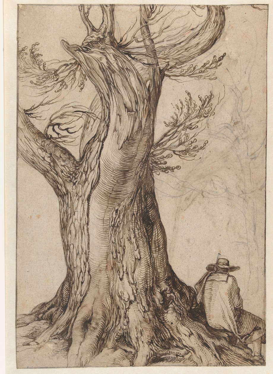 Badanie pnia drzewa autorstwa Jacob II de Gheyn