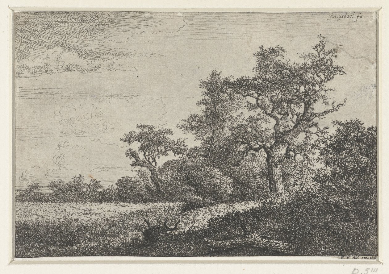 Pole kukurydzy autorstwa Jacob van Ruisdael