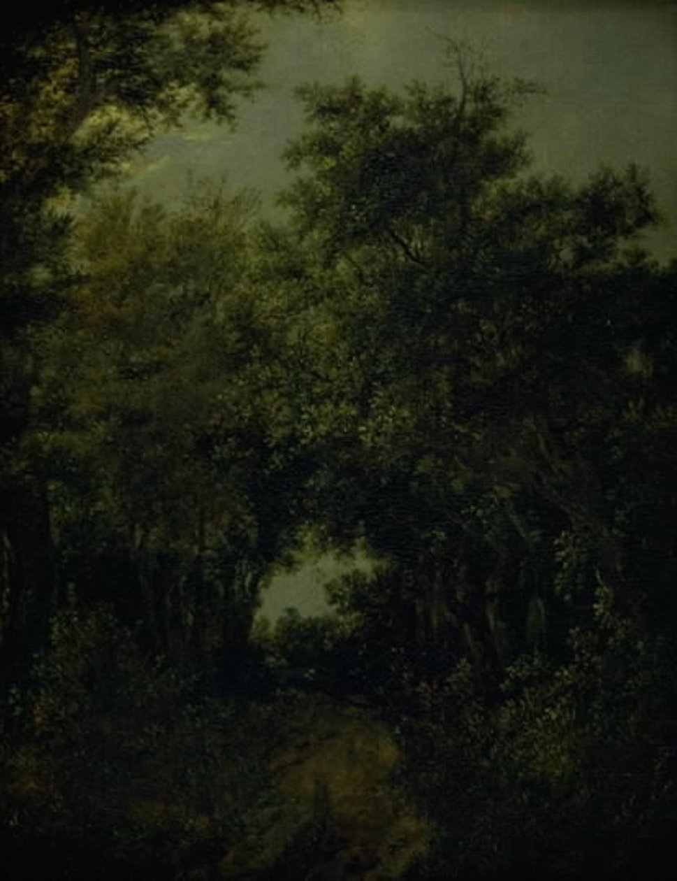 Droga w lesie dębowym autorstwa Jacob van Ruisdael