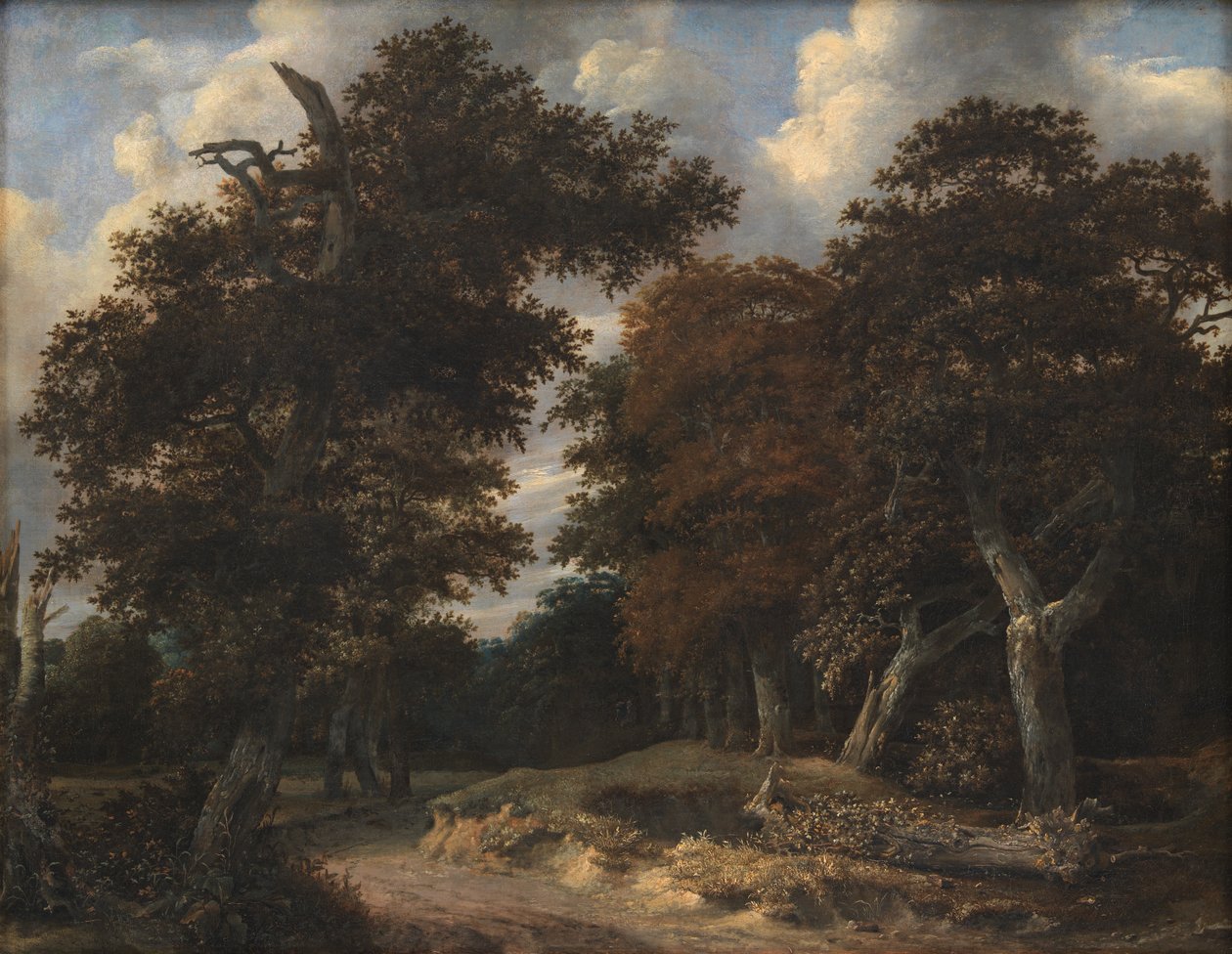 Droga przez las dębowy autorstwa Jacob van Ruisdael