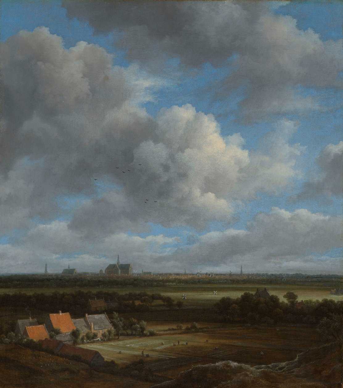 Widok na Haarlem od północnego zachodu, z bielącymi polami na pierwszym planie Widok na Haarlem od północnego zachodu, z bielonymi polami na pierwszym planie autorstwa Jacob van Ruisdael