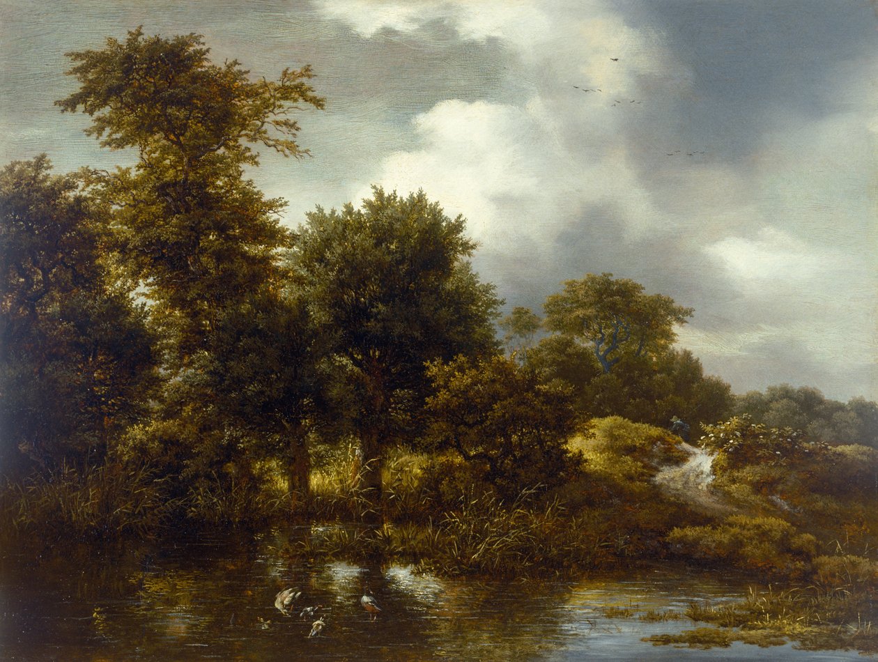 Zalesiony krajobraz ze stawem, koniec lat 40. XVII w. autorstwa Jacob van Ruisdael