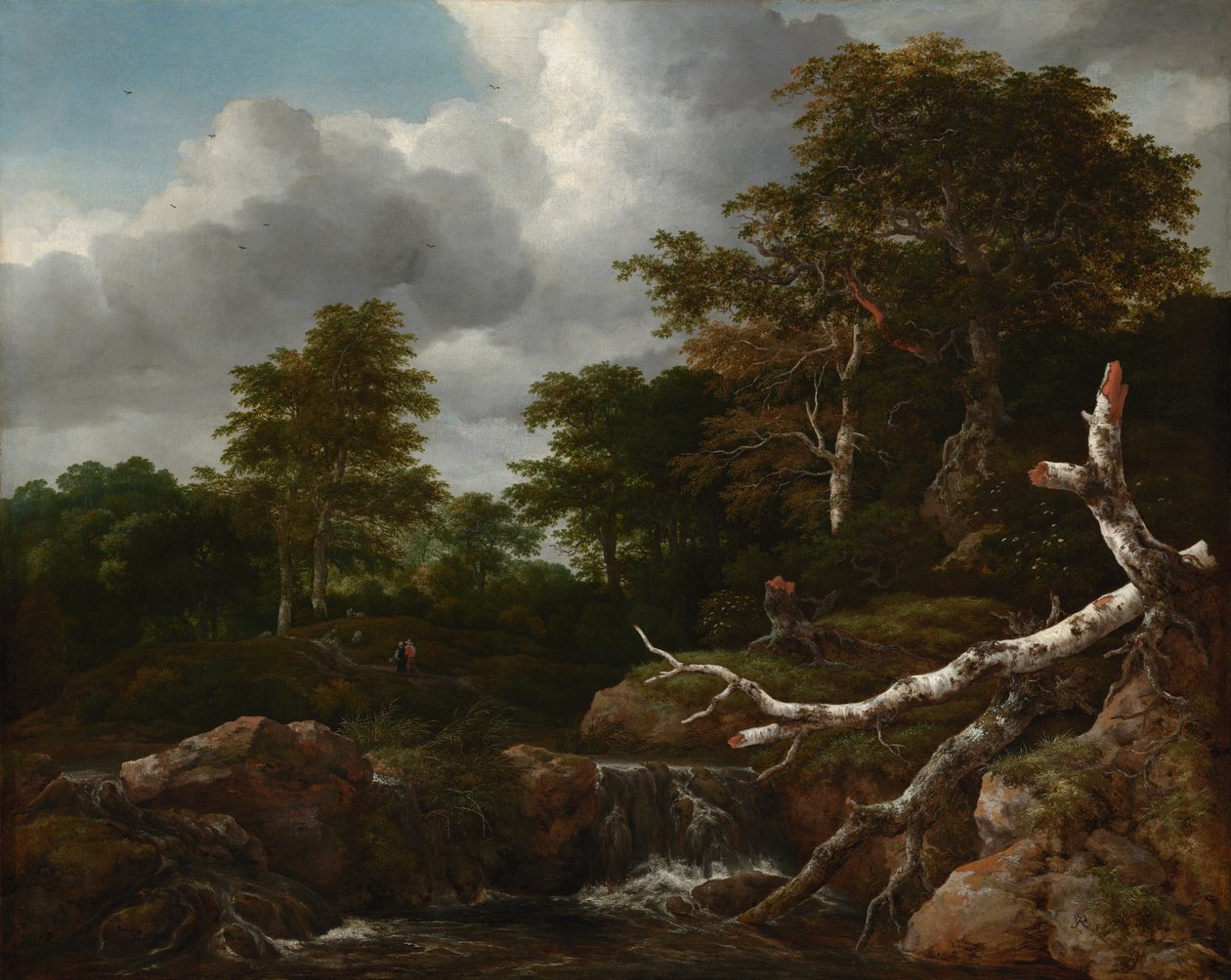 Scena leśna, ok. 1655 r. (olej na płótnie) autorstwa Jacob van Ruisdael