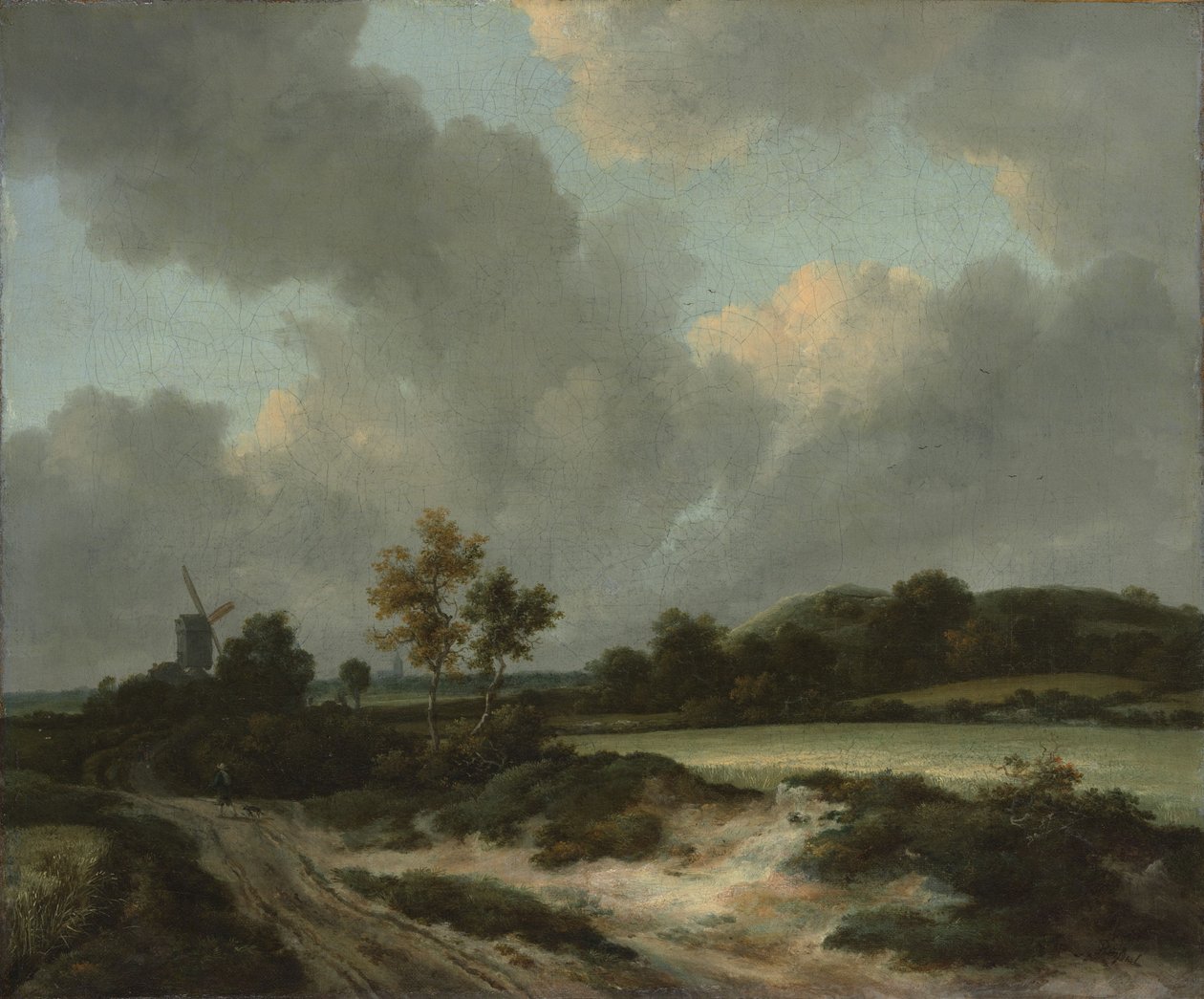 Pola zboża, ok. 1660 (olej na płótnie) autorstwa Jacob van Ruisdael