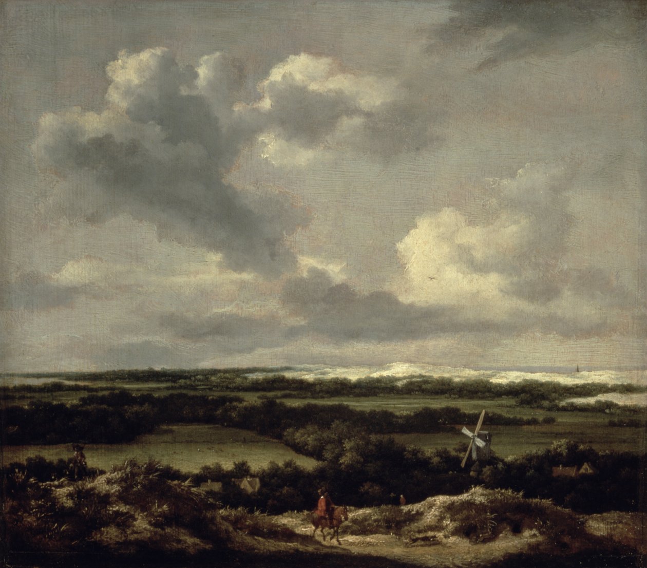 Krajobraz z wydmami w pobliżu Haarlem (olej na płótnie) autorstwa Jacob van Ruisdael