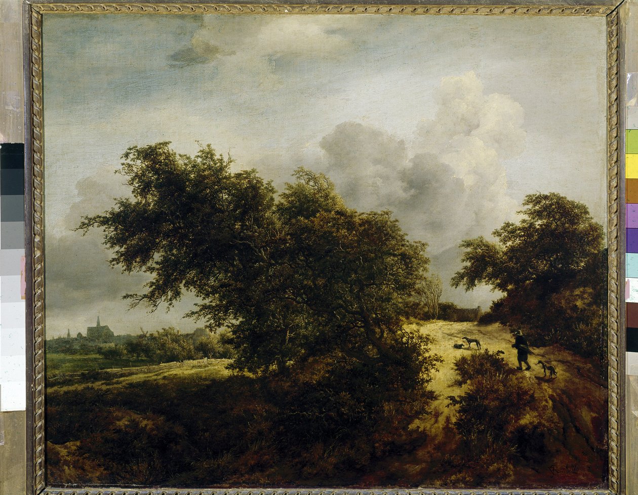 Le Buisson (O Arbusto), c. 1647 (óleo sobre tela) polonês autorstwa Jacob van Ruisdael