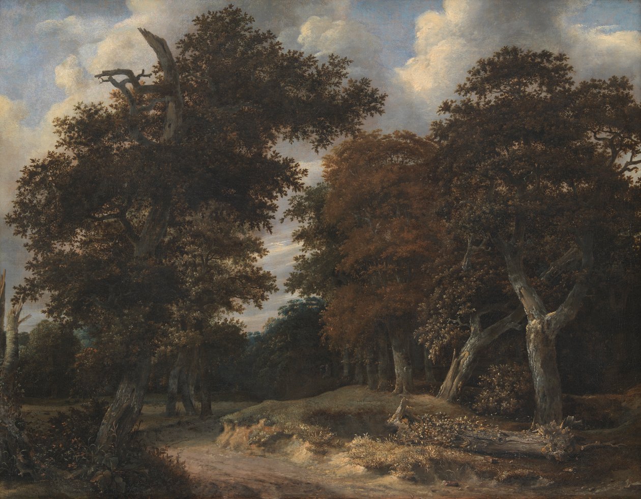Droga przez las dębowy autorstwa Jacob van Ruisdael