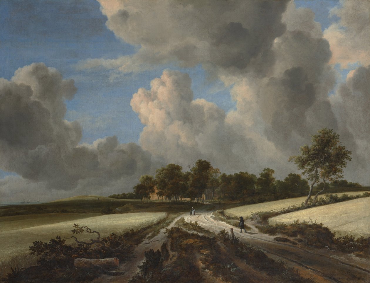 Pola pszenicy, ok. 1670 (olej na płótnie) autorstwa Jacob van Ruisdael
