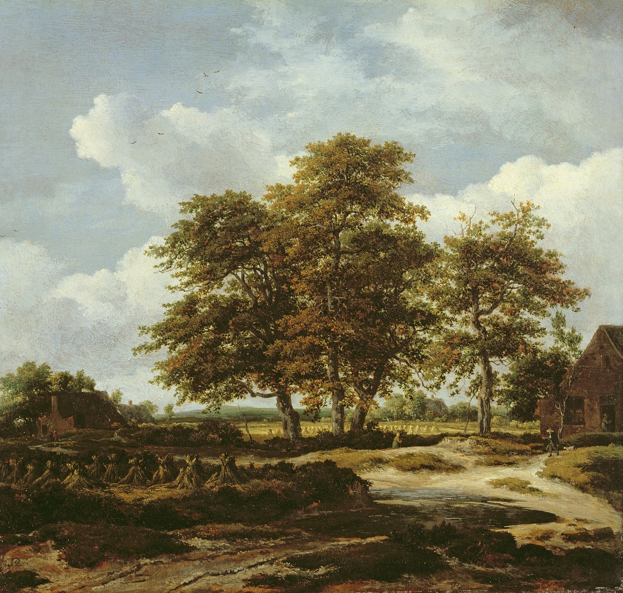 Zalesiony krajobraz z polami kukurydzy, ok. 1655-60 (olej na płótnie) autorstwa Jacob Isaaksz. or Isaacksz. van Ruisdael
