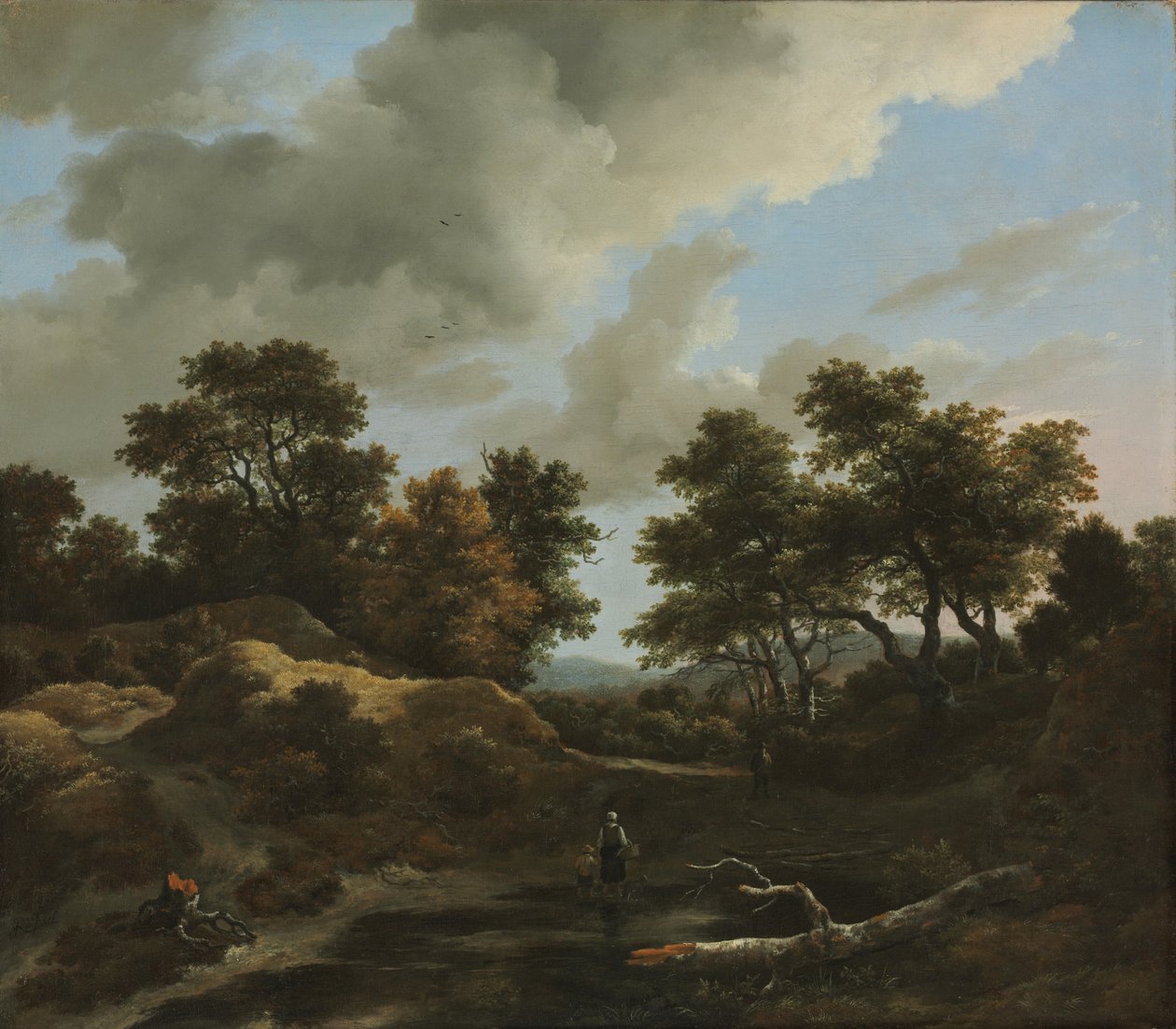 Zalesiony i pagórkowaty krajobraz, lata 60. XVI wieku autorstwa Jacob van Ruisdael