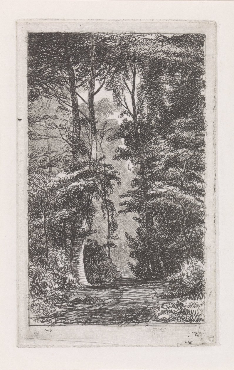 Boslaan autorstwa Jacob Jan van der Maaten