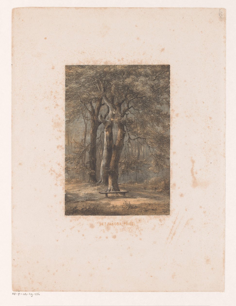 Altana Jacoba Altana Jakoba (tytuł na obiekcie) autorstwa Jacob Jan van der Maaten