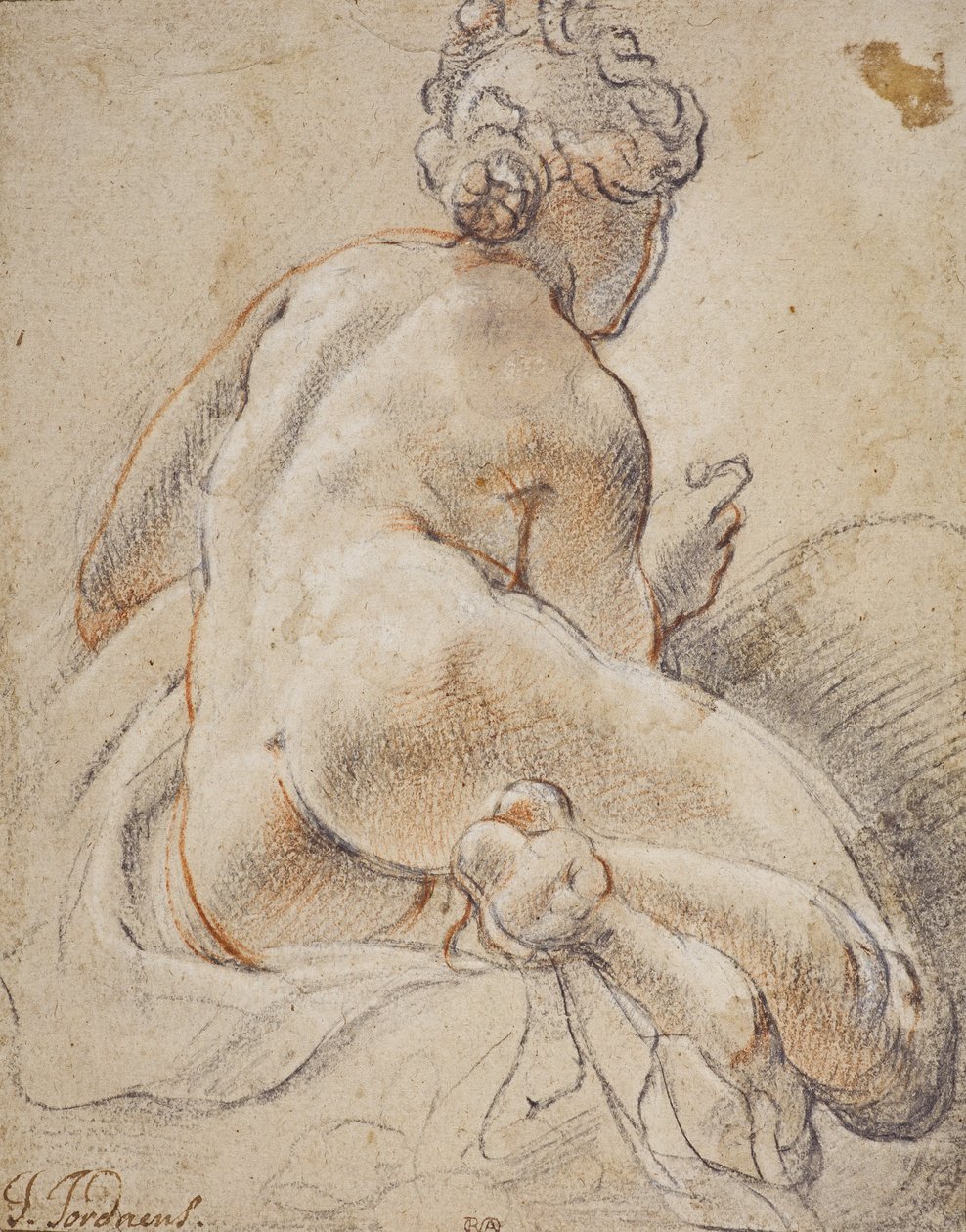 Akt kobiecy widziany od tyłu autorstwa Jacob Jordaens