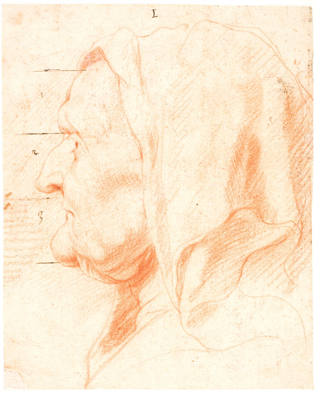 Głowa starej kobiety, w lewym profilu autorstwa Jacob Jordaens