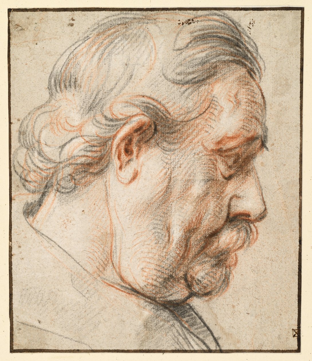 Głowa mężczyzny z profilu w prawo autorstwa Jacob Jordaens