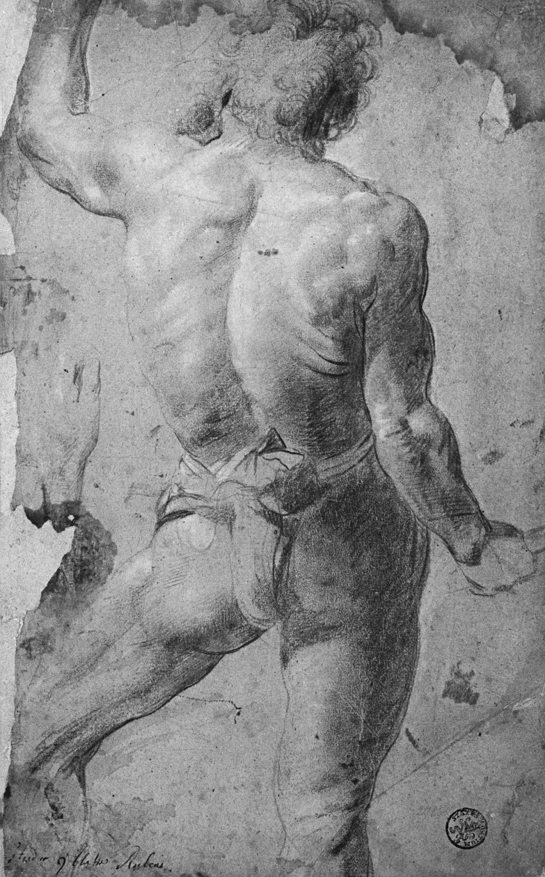 Stojący akt męski (czarna kreda i sangwina na papierze) autorstwa Jacob Jordaens