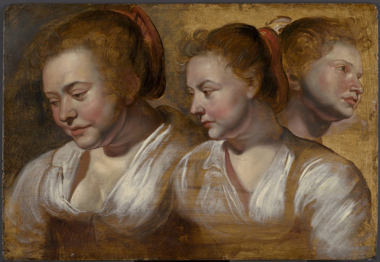 Trzy badania młodej kobiety autorstwa Jacob Jordaens