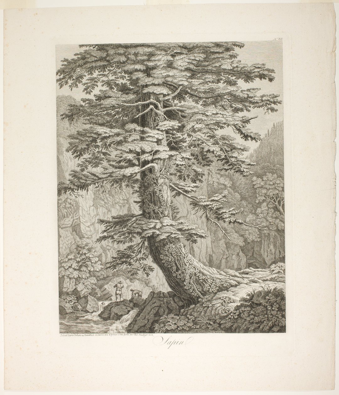 Jodła autorstwa Jacob Philipp Hackert