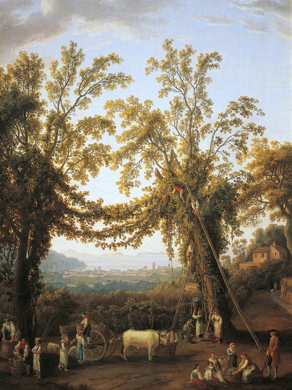 Jesień, żniwa pod Sorrento (olej na płótnie) autorstwa Jacob Philippe Hackert