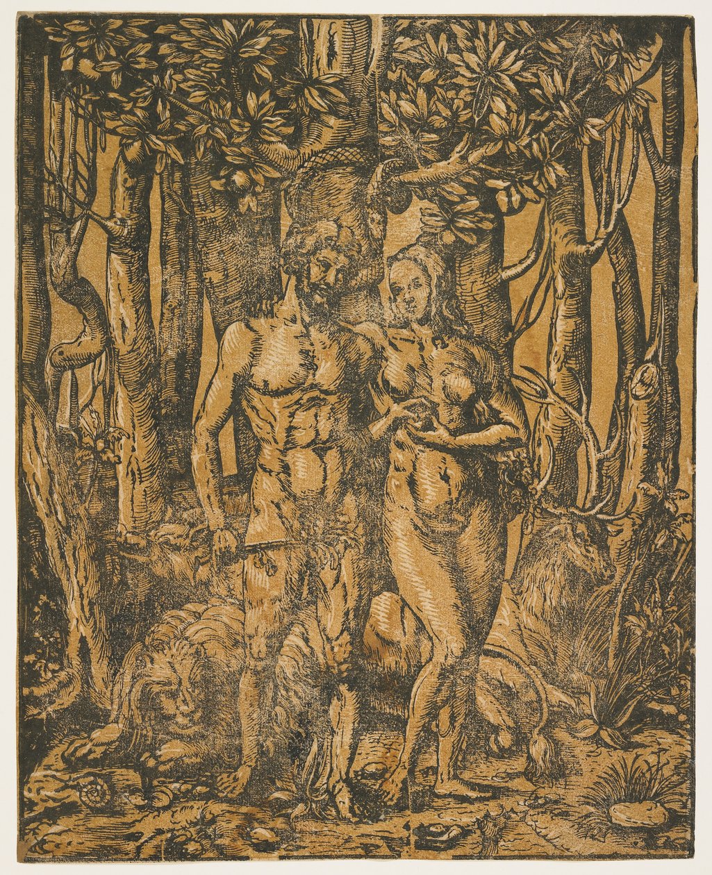 Adam i Ewa, XVI wiek autorstwa Jacob the Elder attr. to Lucius