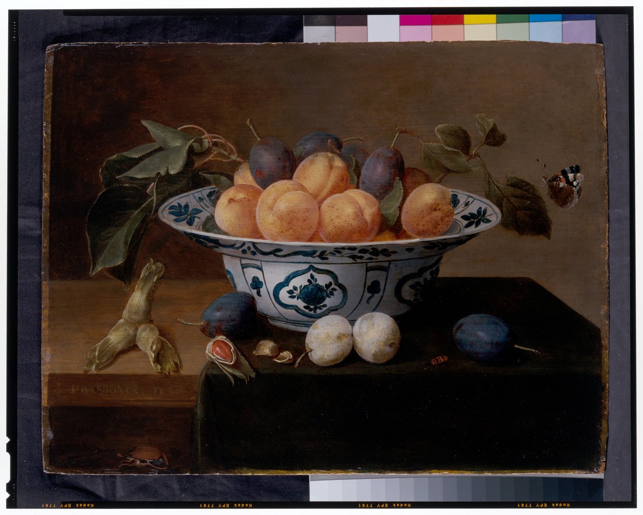 Martwa natura z morelami i śliwkami w naczyniu Wan Li, z chrząszczami i motylem na półce autorstwa Jacob van Hulsdonck