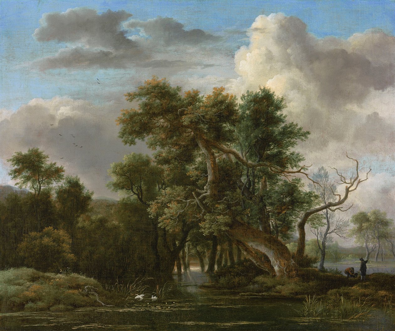Basen leśny autorstwa Jacob van Ruisdael