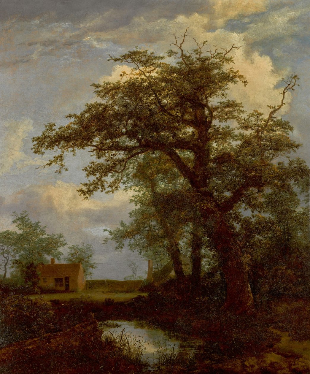 Zalesiony krajobraz z dębem, stawem i domami za nim autorstwa Jacob van Ruisdael