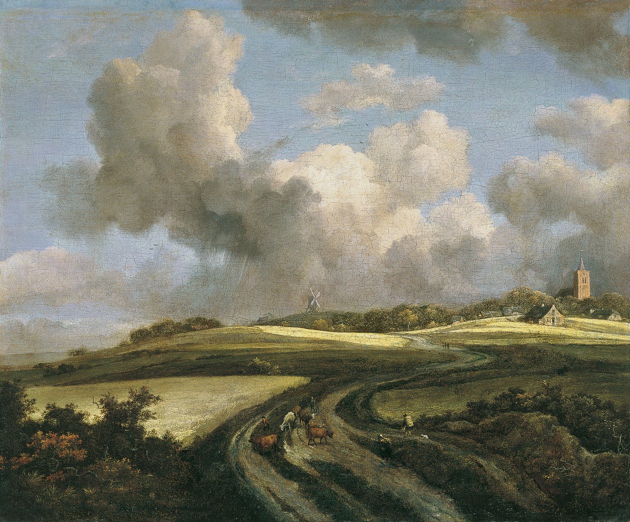 Ścieżka przez pola pszenicy w pobliżu Zuider Zee autorstwa Jacob van Ruisdael