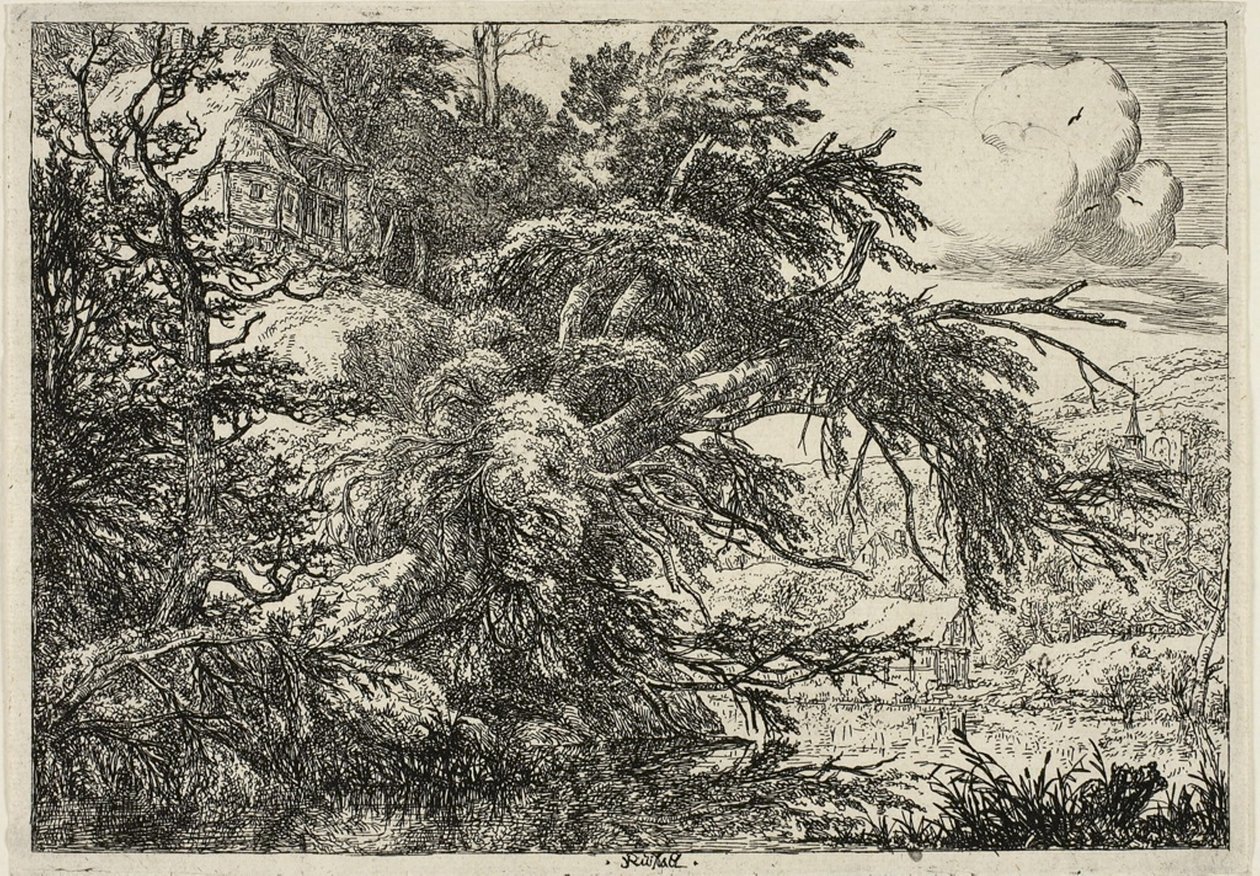 Domek na szczycie wzgórza autorstwa Jacob van Ruisdael