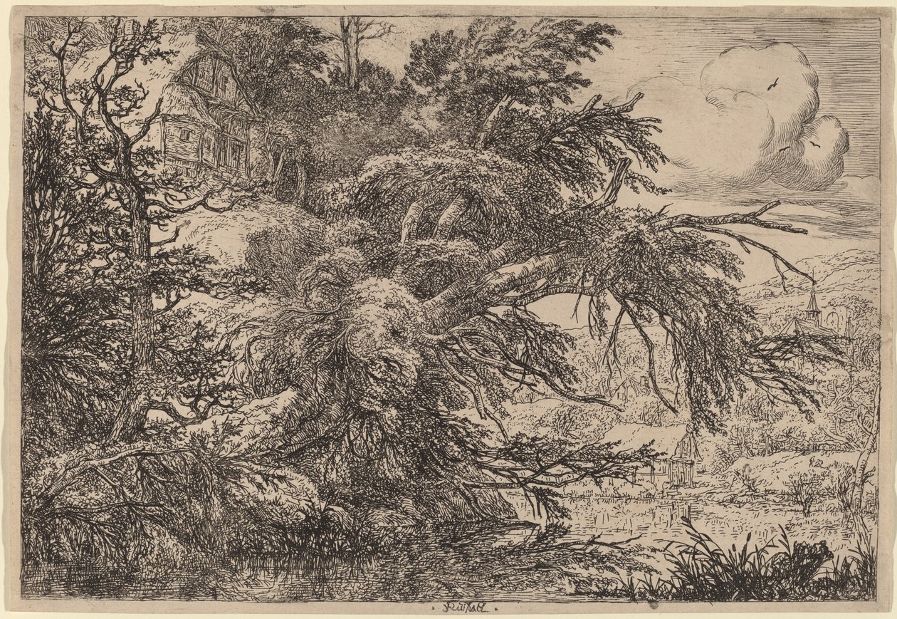 Domek na wzgórzu autorstwa Jacob van Ruisdael
