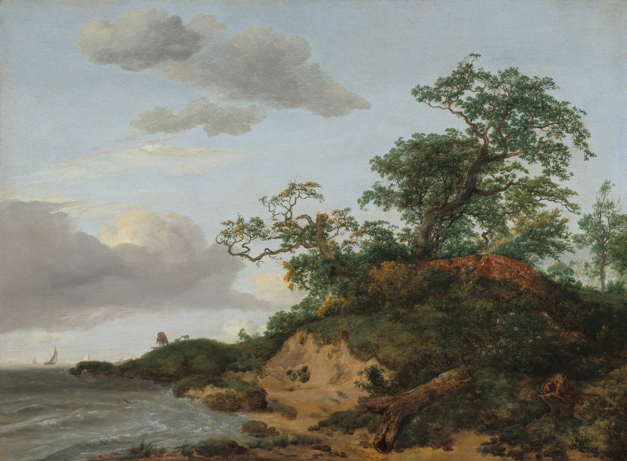 Wydmy nad morzem autorstwa Jacob van Ruisdael