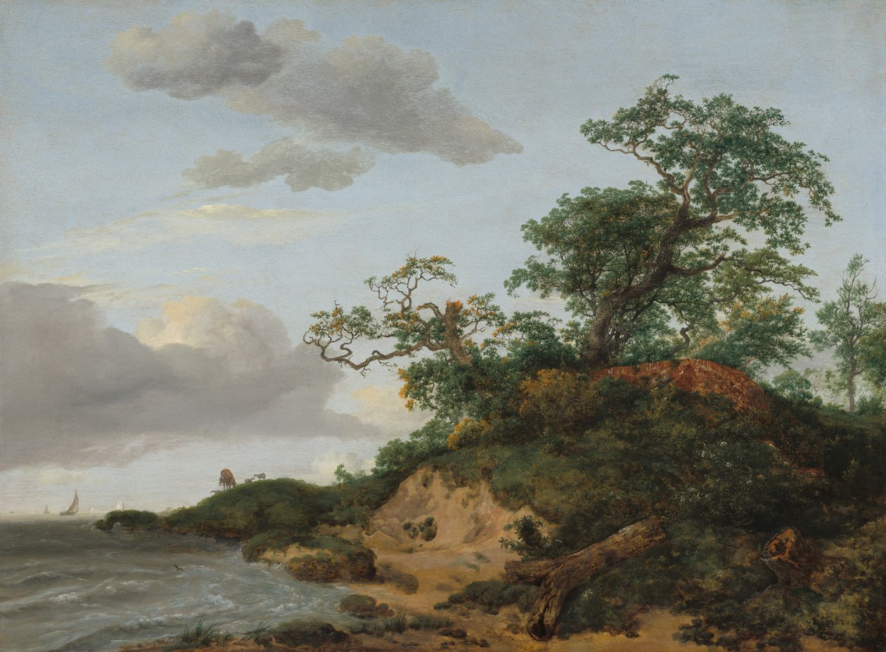 Wydmy nad morzem, 1648. autorstwa Jacob van Ruisdael