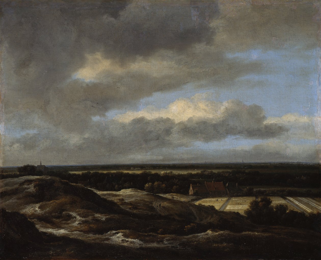 Haarlem widziany z wydm na północnym zachodzie autorstwa Jacob van Ruisdael