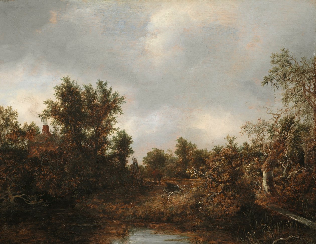 Krajobraz autorstwa Jacob van Ruisdael