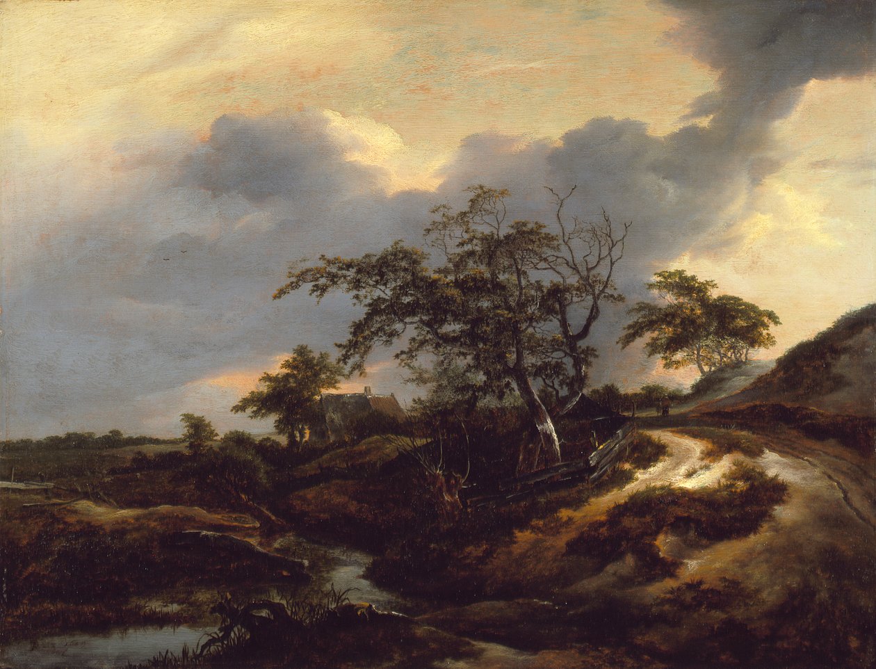 Pejzaż z wydmami autorstwa Jacob van Ruisdael