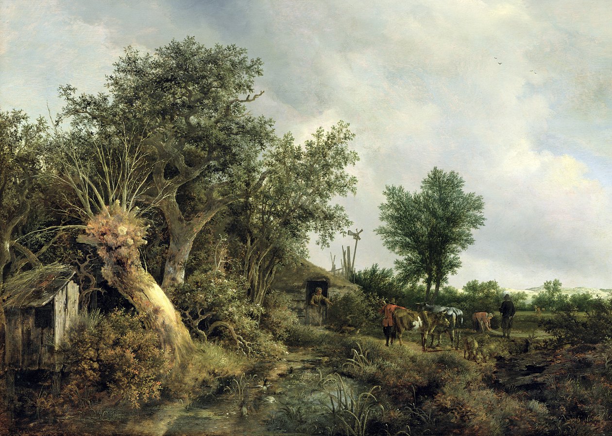 Pejzaż z chatą, 1646 autorstwa Jacob van Ruisdael