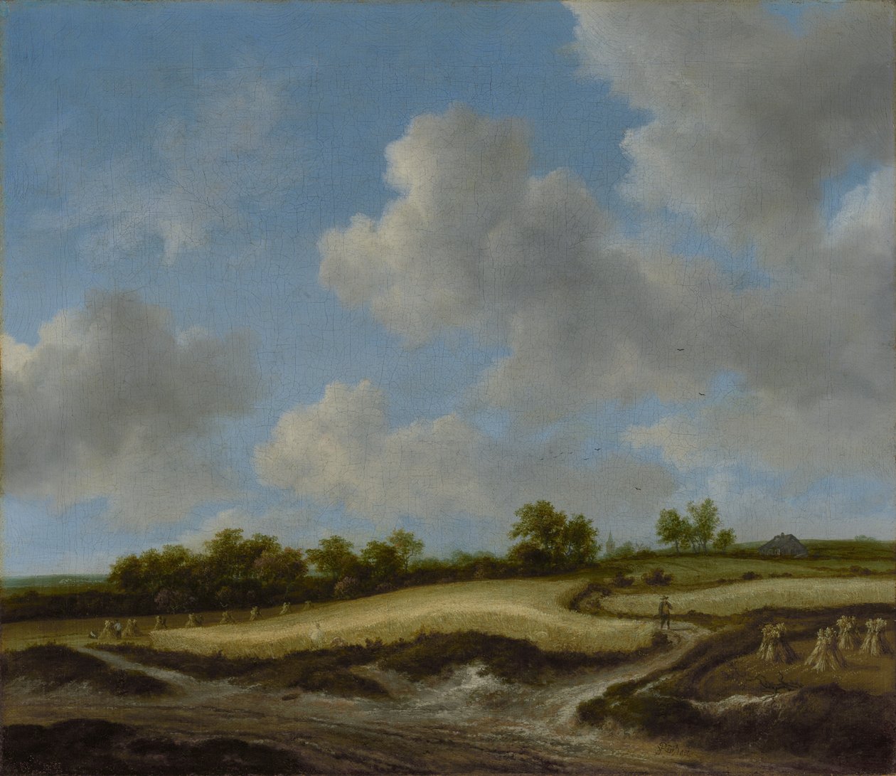 Krajobraz z polem pszenicy autorstwa Jacob van Ruisdael